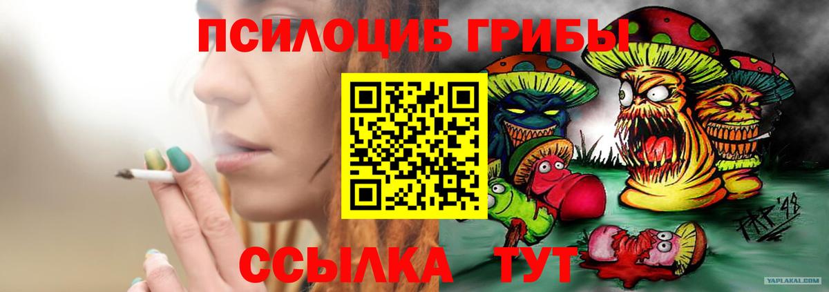 Галлюциногенные грибы мицелий  Вход с VPN  Осинники 